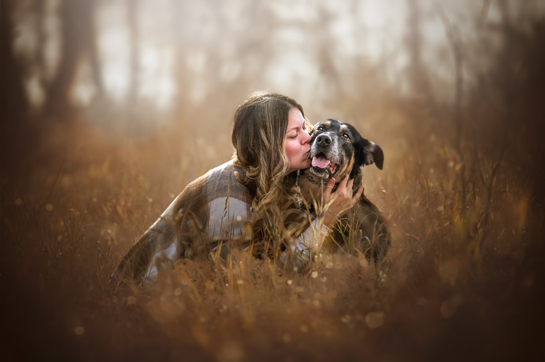 Lady and dog portrait in sunset field