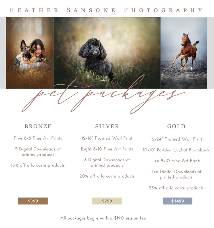 Pet Photography Packages for Heather Sansone Photography
