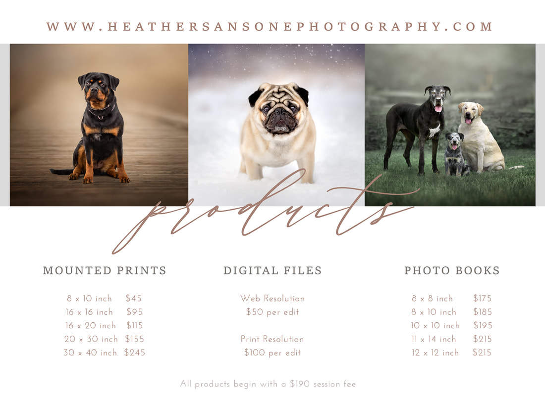 Pet Photography Product Pricing for Heather Sansone Photography